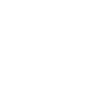 Dash Icon
